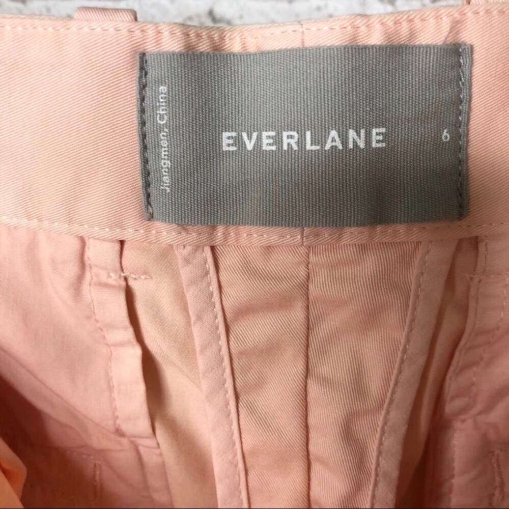 Everlane Slouchy Chino Pants Cropped Pleated Pink Size 6 Ankle Lengtb - Picture 10 of 11